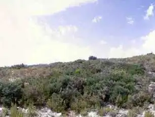 Terrain rustique à vendre à Pt Rincón del Pehuet, imagen 6