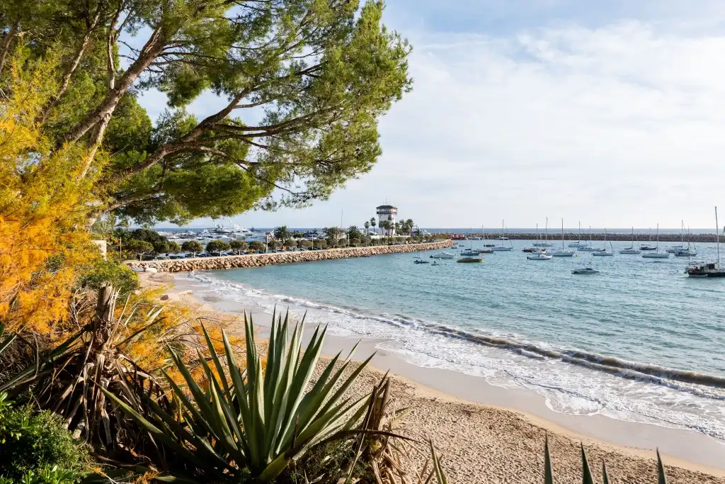 Mini appartamento con terrazza in vendita a Portals Nous, imagen 16
