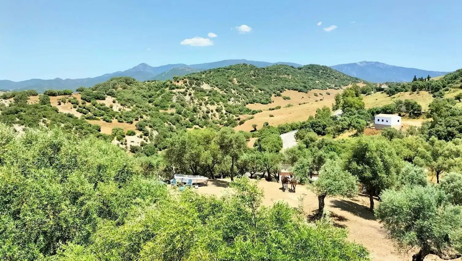 Vista exterior de Pis en venda en Alcalá de los Gazules amb Traster i Piscina comunitària
