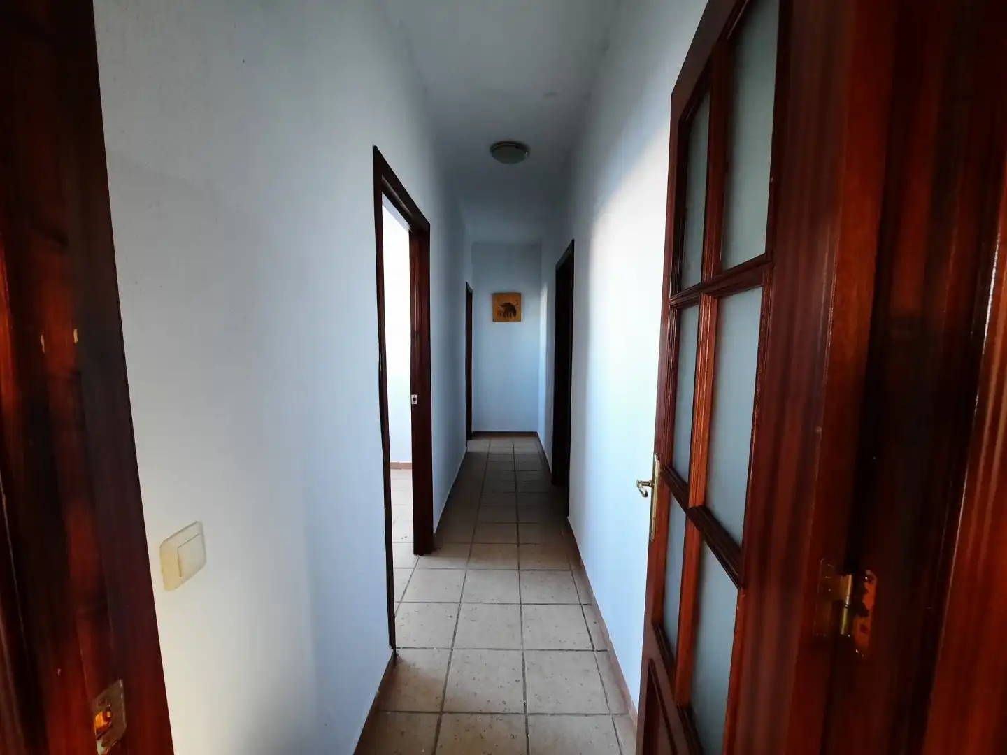 Grundstücke zum Verkauf in Olivenza
