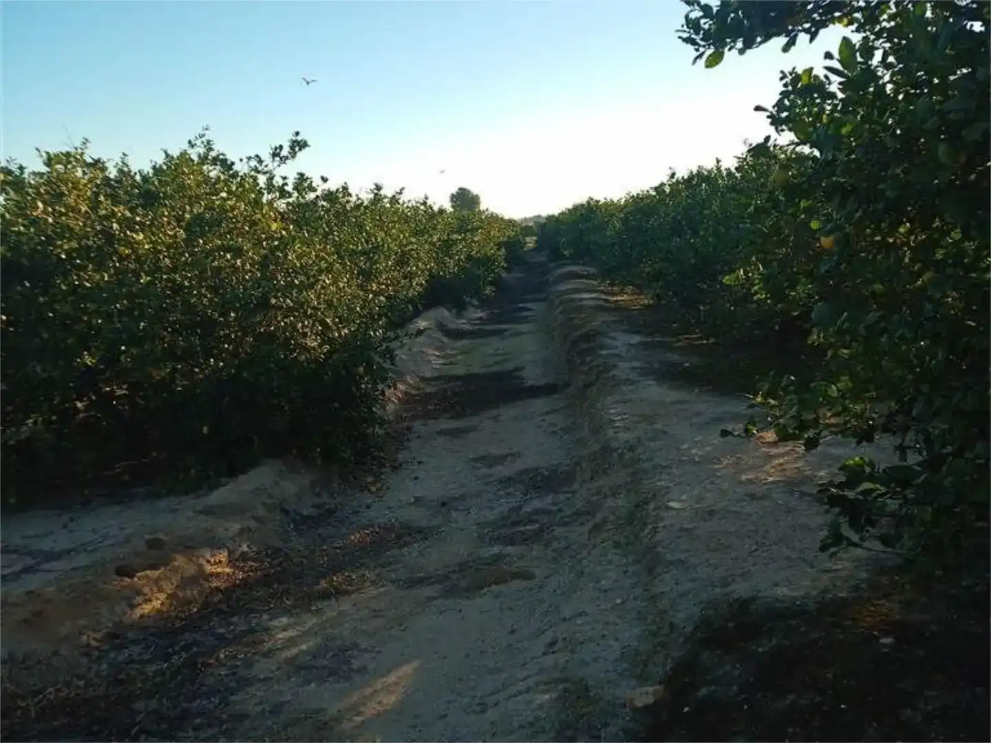 Terreno en venta en Orihuela