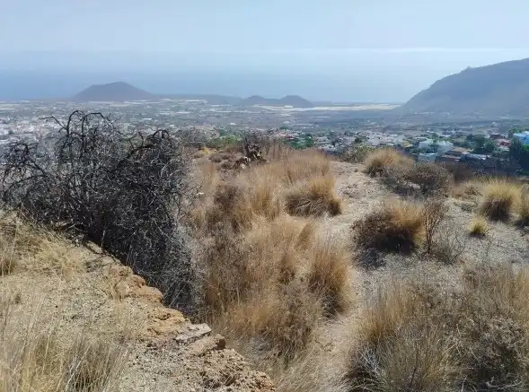Rural land for sale in Centro, imagen 2