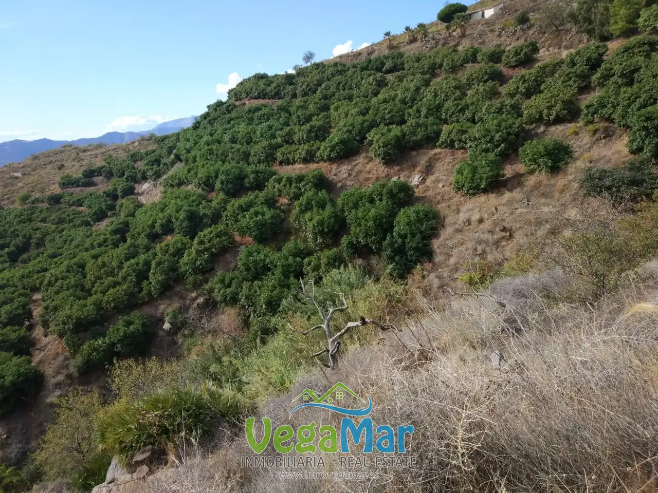 Residential for sale in Salobreña