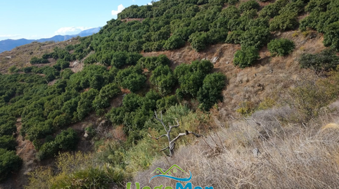 Foto 4 de Residencial en venta en Alfamar, Monte los Almendros - El Pargo - Costa Aguilera, Granada