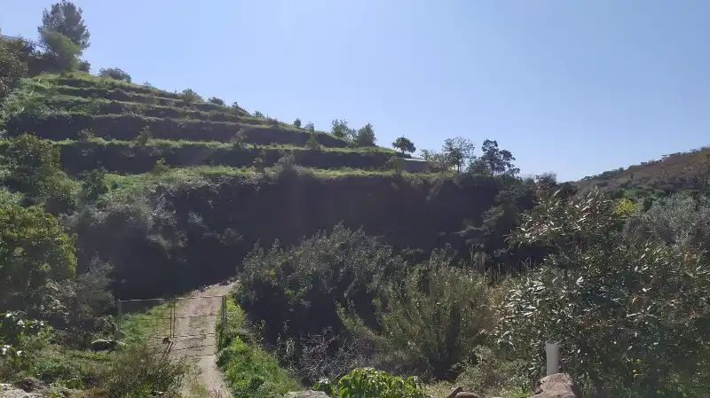 Casa rustica in vendita a Paraje Piedras Blancas 146, imagen 4