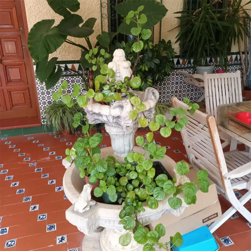 House with garden for sale in Calle Álamos 6, imagen 10