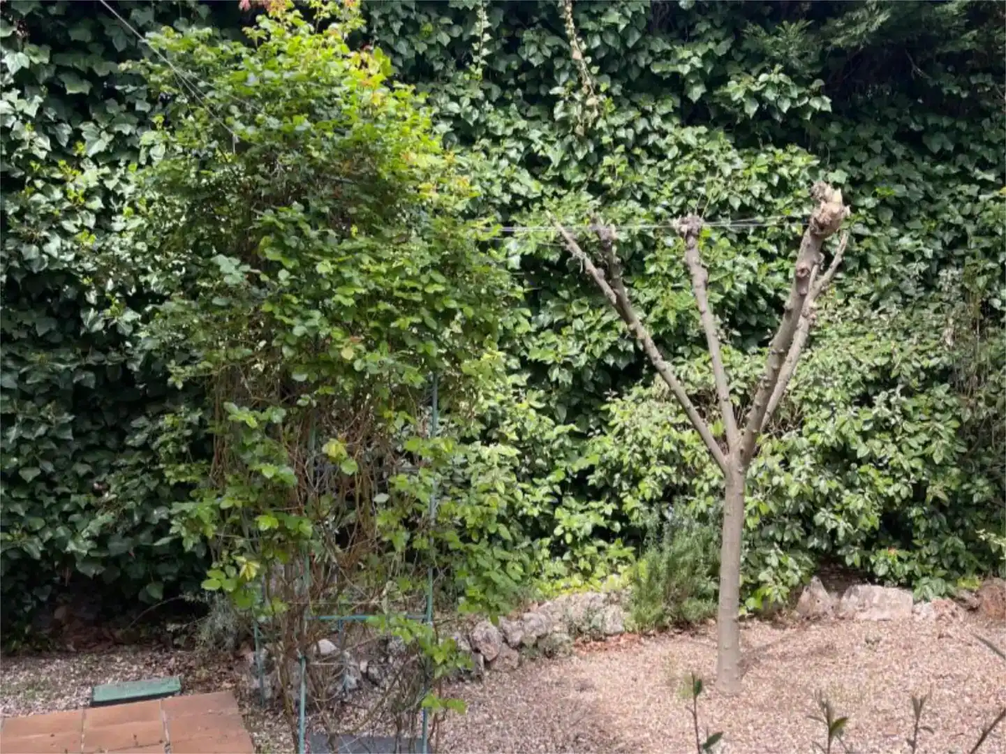 Jardí de Casa o xalet en venda en Rivas-Vaciamadrid amb Aire condicionat