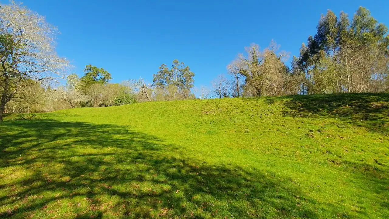 Finca rústica en venta en Llanes