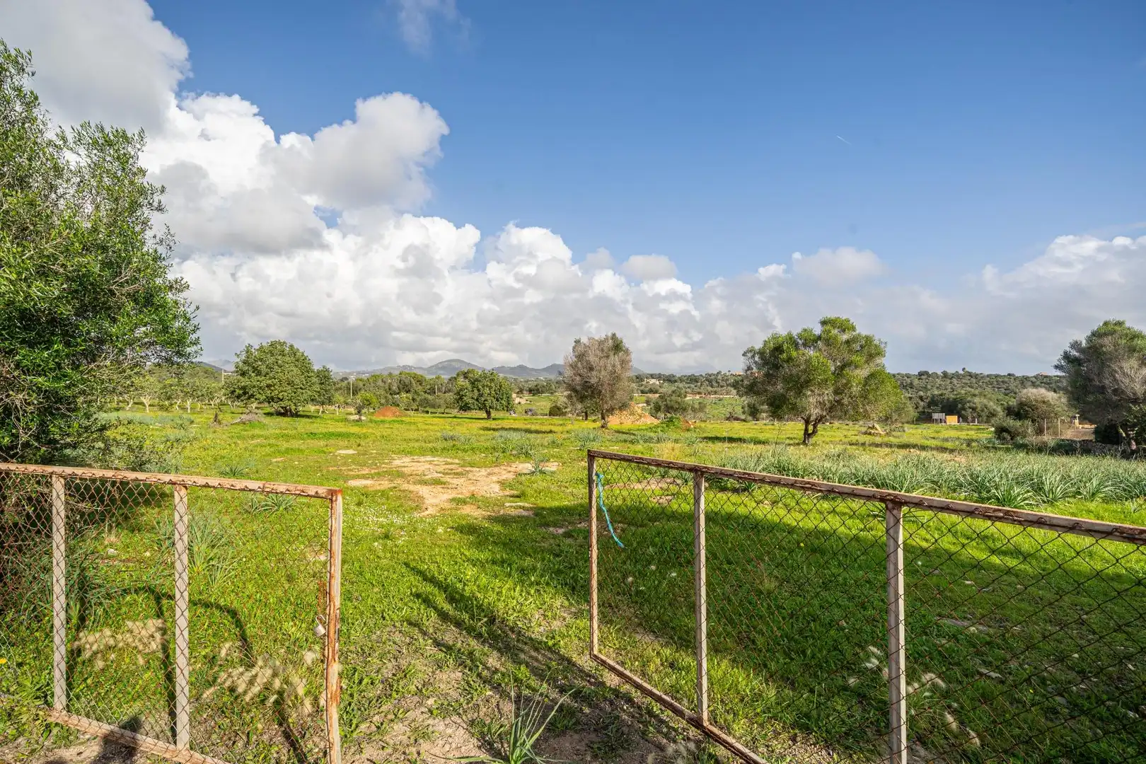 Rural land for sale in Sant Llorenç des Cardassar, imagen 16