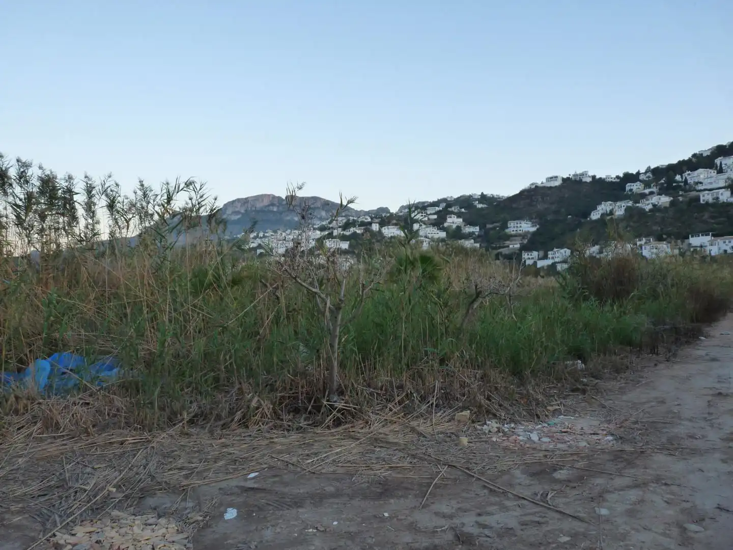 Rural land for sale in Pego, imagen 8