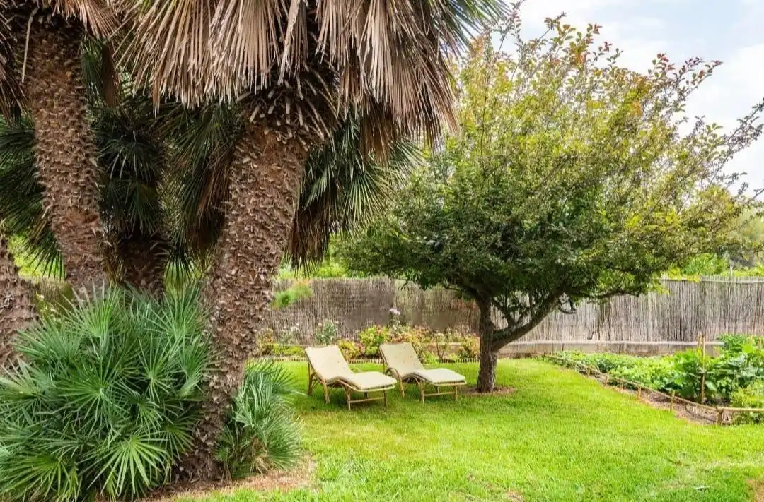 Jardín de Casa o chalet en venta en Castellón de la Plana / Castelló de la Plana con Jardín privado, Terraza y Piscina
