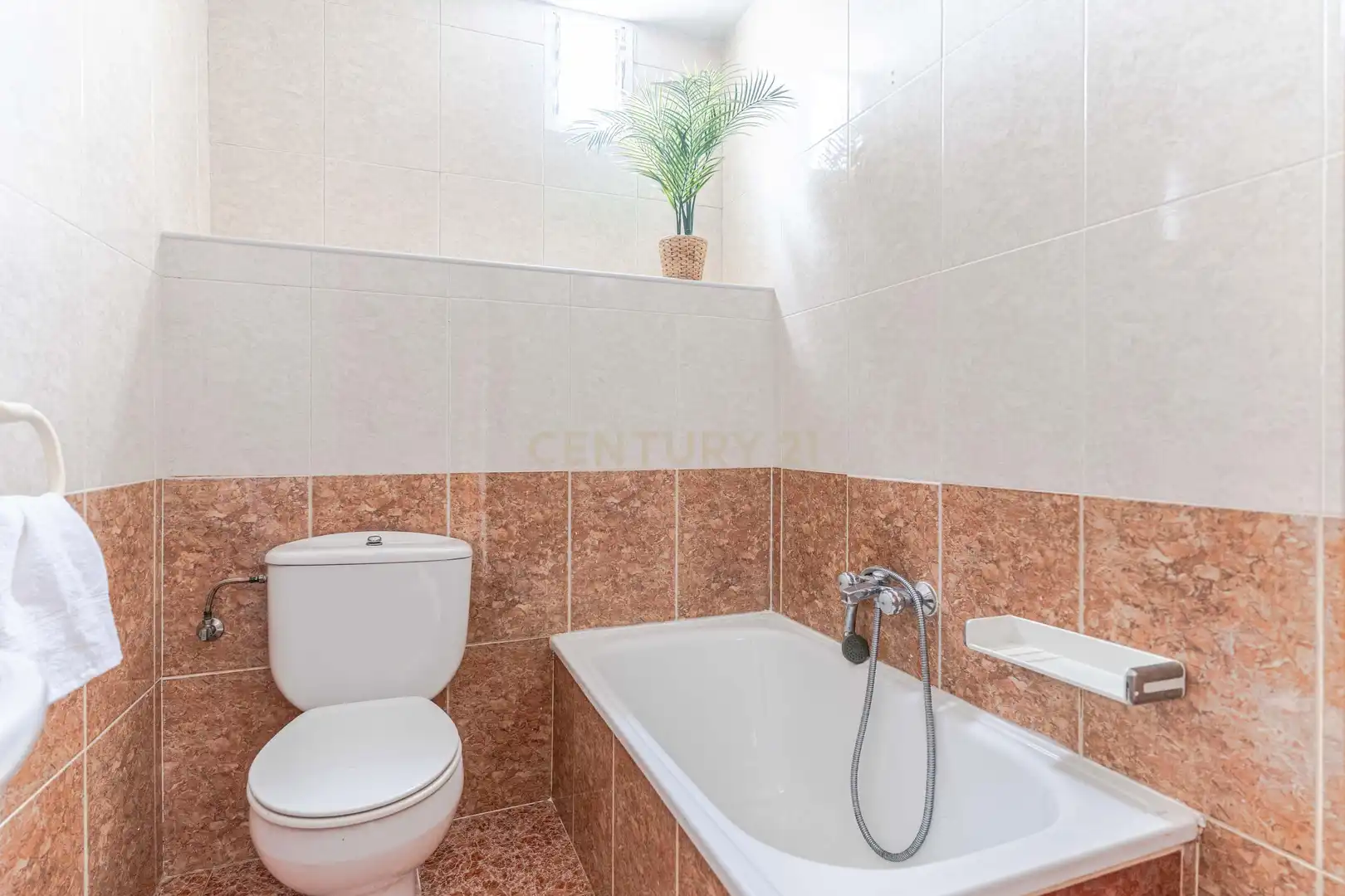 Casa o chalet en venta en CL AGUA 18 MONTEFRIO (GRANADA), 18, Montefrío
