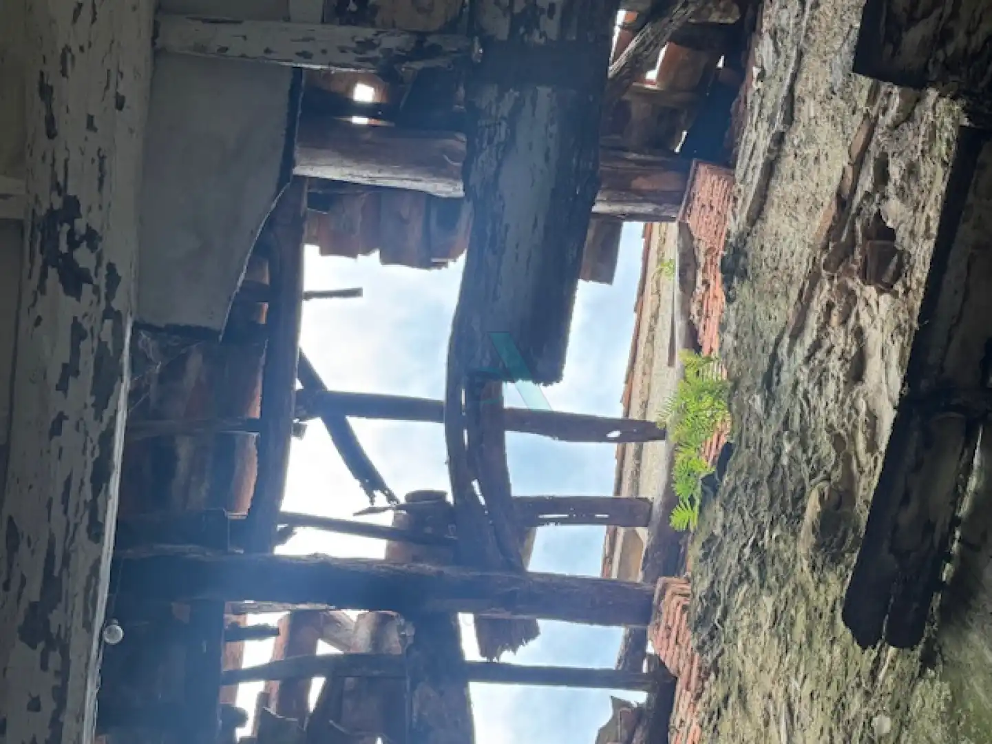 Vista exterior de Casa o xalet en venda en Llanes amb Jardí privat