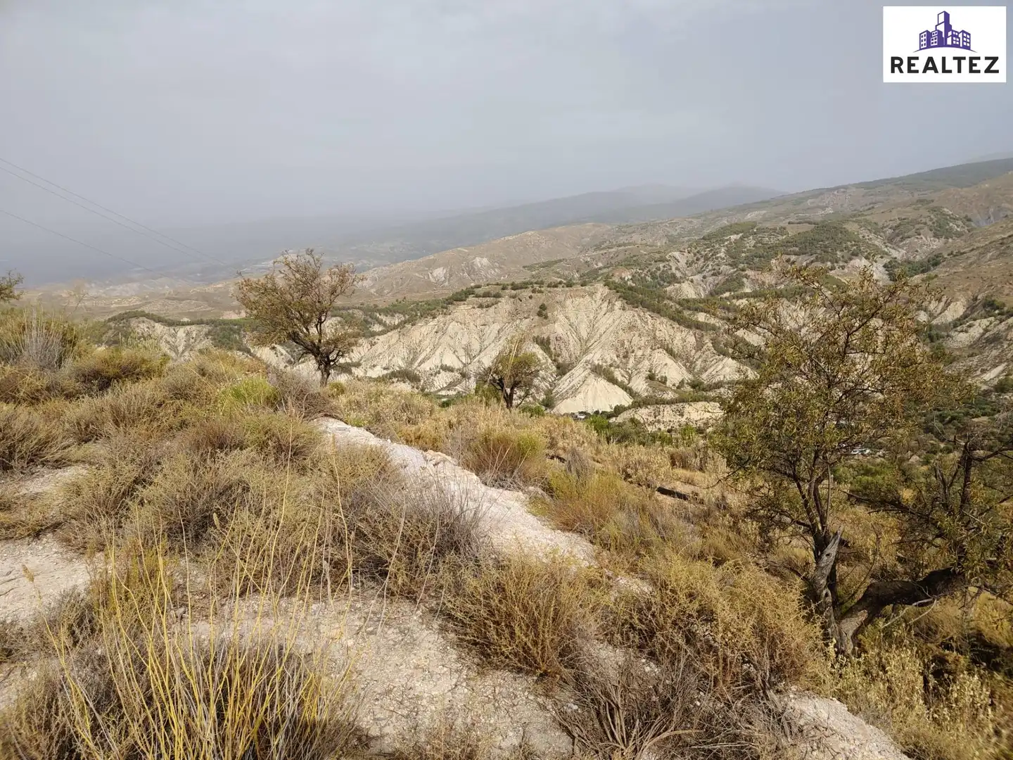 Terrain rustique à vendre à Alcolea, imagen 10