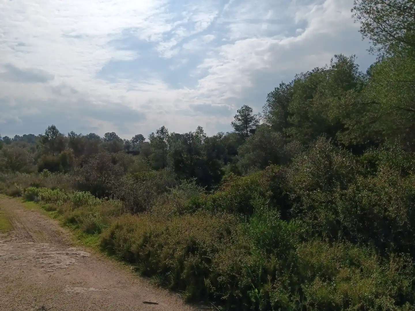Lands and plots for sale in Ginestar, imagen 2