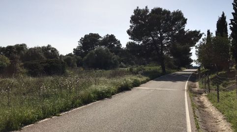 SOLAR DE 22.857 METROS SON GUAL, imatge 2