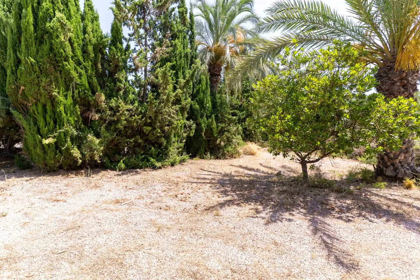 Casa o xalet en venda en Elche / Elx amb Calefacció, Terrassa i Traster
