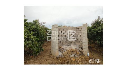 Finca Rustica  Venta Polinyà de Xúquer, imatge 5