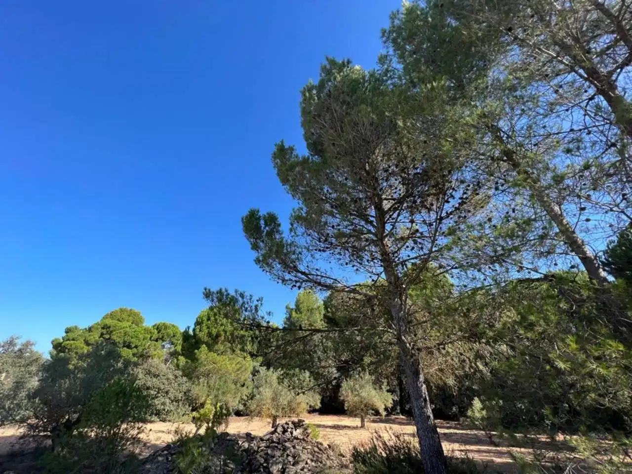 Chalet en venta en Banyeres de Mariola, imagen 39