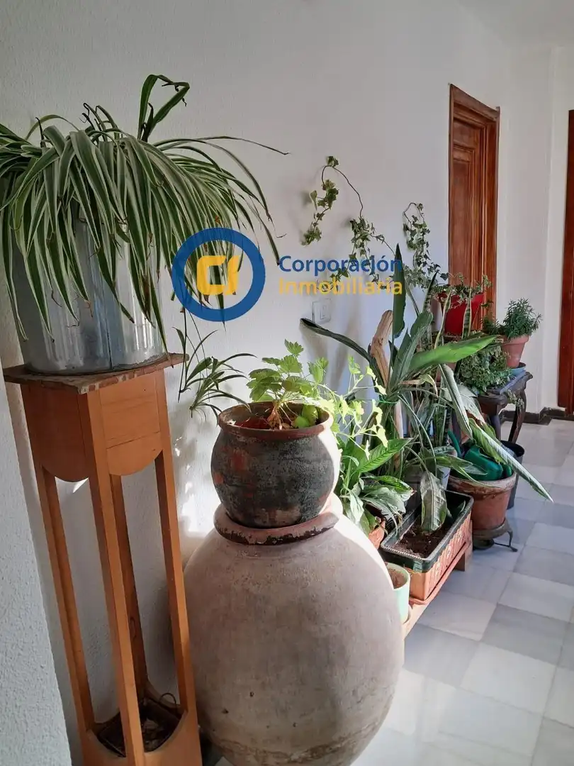 Appartement avec terrasse à vendre à Lorca Ciudad, imagen 5