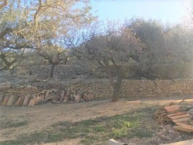 Casa o xalet en venda en Tortosa