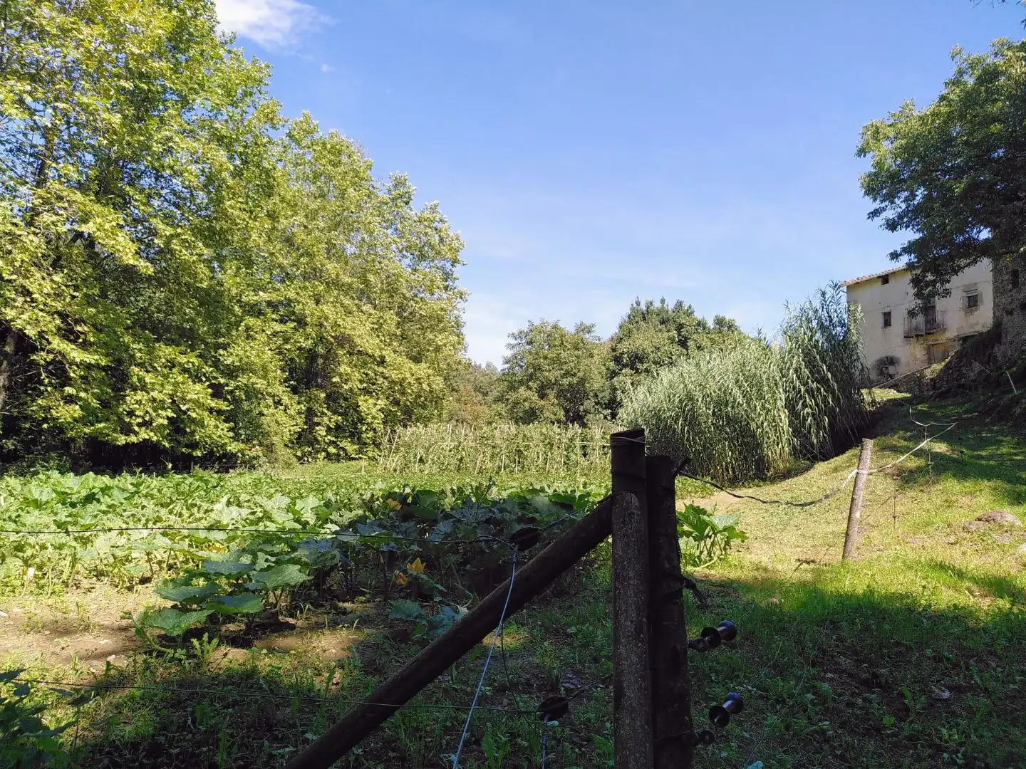 Country house with garden for sale in GI-524 9, imagen 15