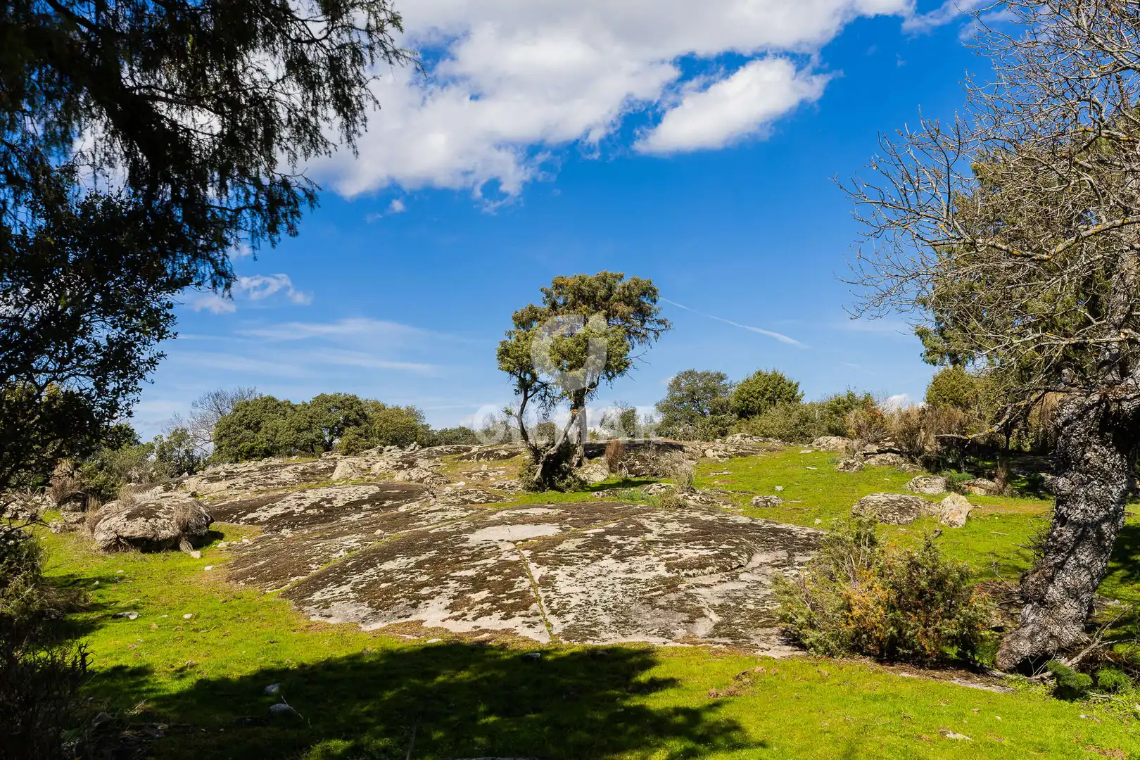 Terreno residencial en venta en La Navata, imagen 13