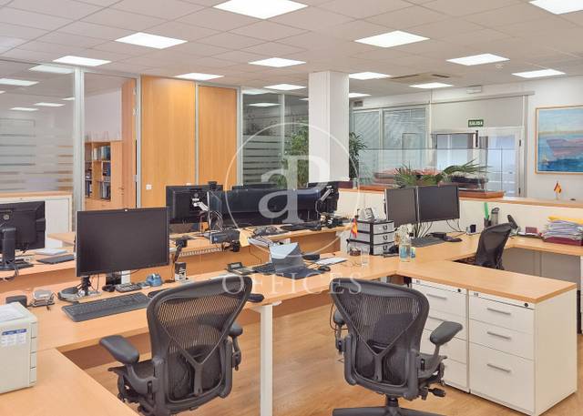 Oficina en Alquiler en La Florida -  El  Plantío