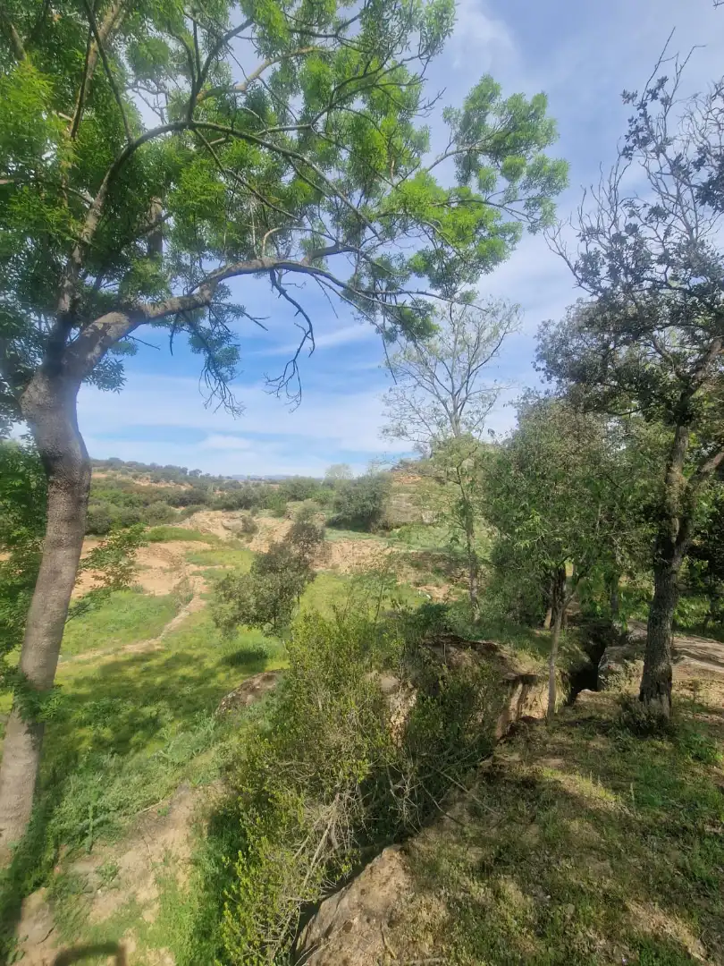 Country homes for sale in Preixens  with Heating, Private garden and Terrace