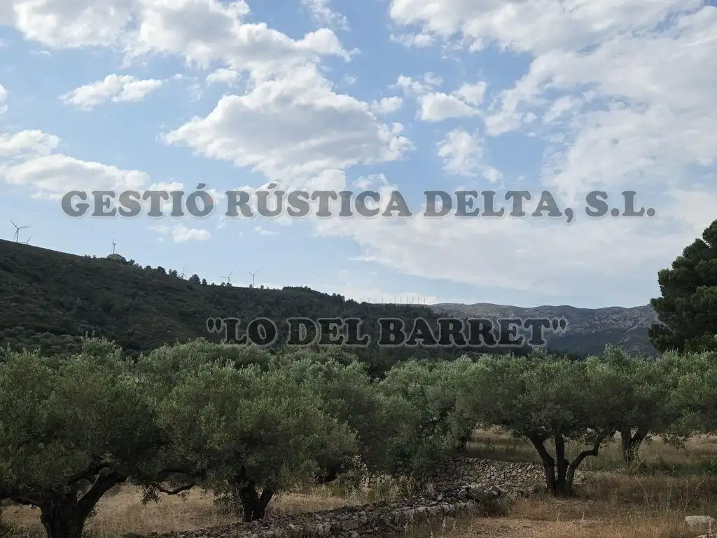 Vista exterior de Finca rústica en venda en El Perelló