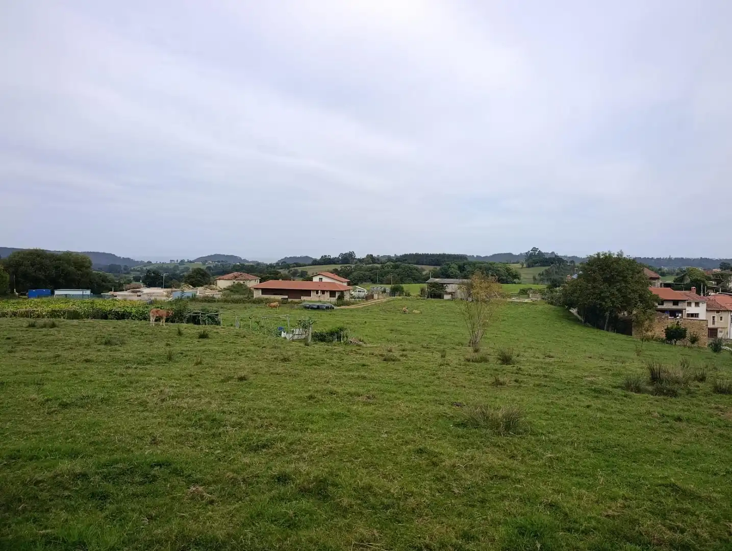 Rustikales Grundstück zum Verkauf in Carretera Piñera (Noriega) 0, imagen 41