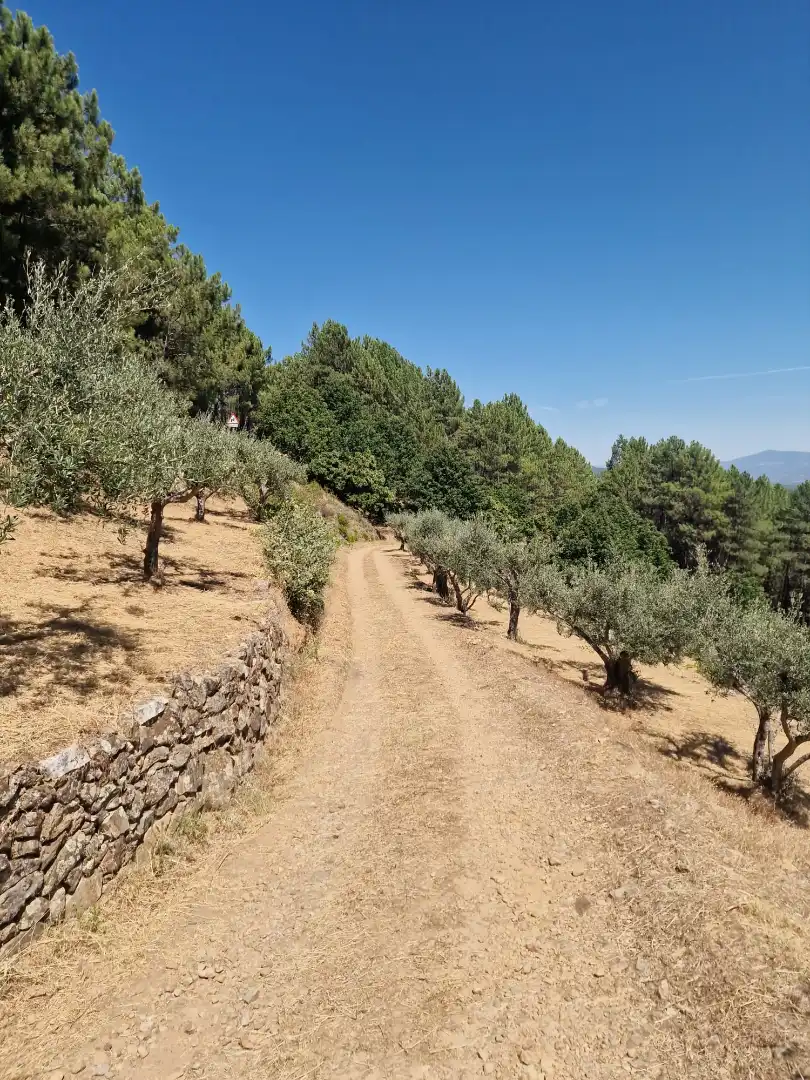 Terreno en venta en Guisando, Ávila