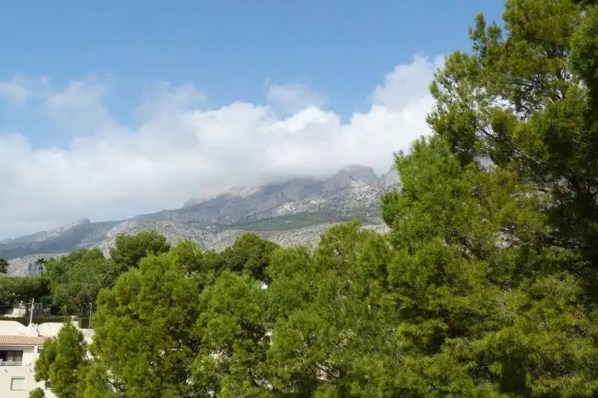 Maison avec piscine à vendre à Altea Hills, imagen 24