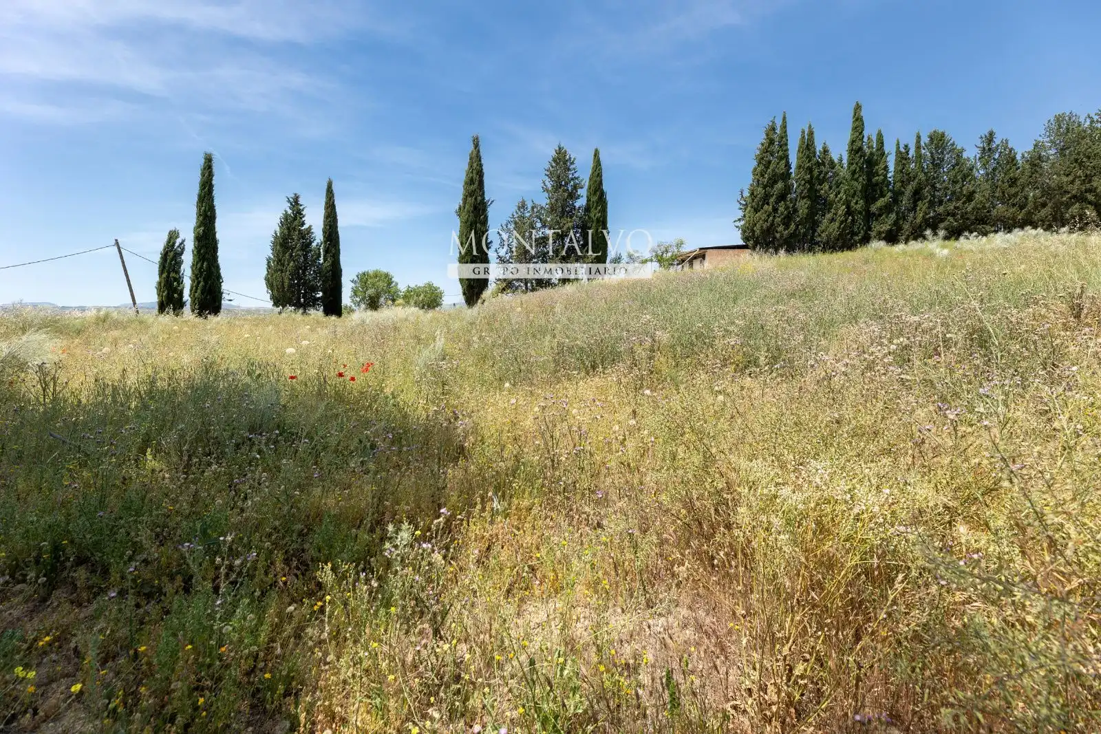 Land for sale in Pinos Puente