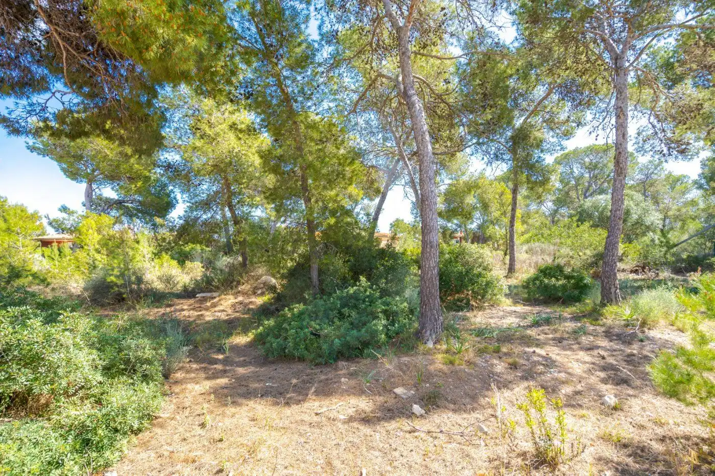 Terreno residencial en venta en Cala Vinyes, imagen 10