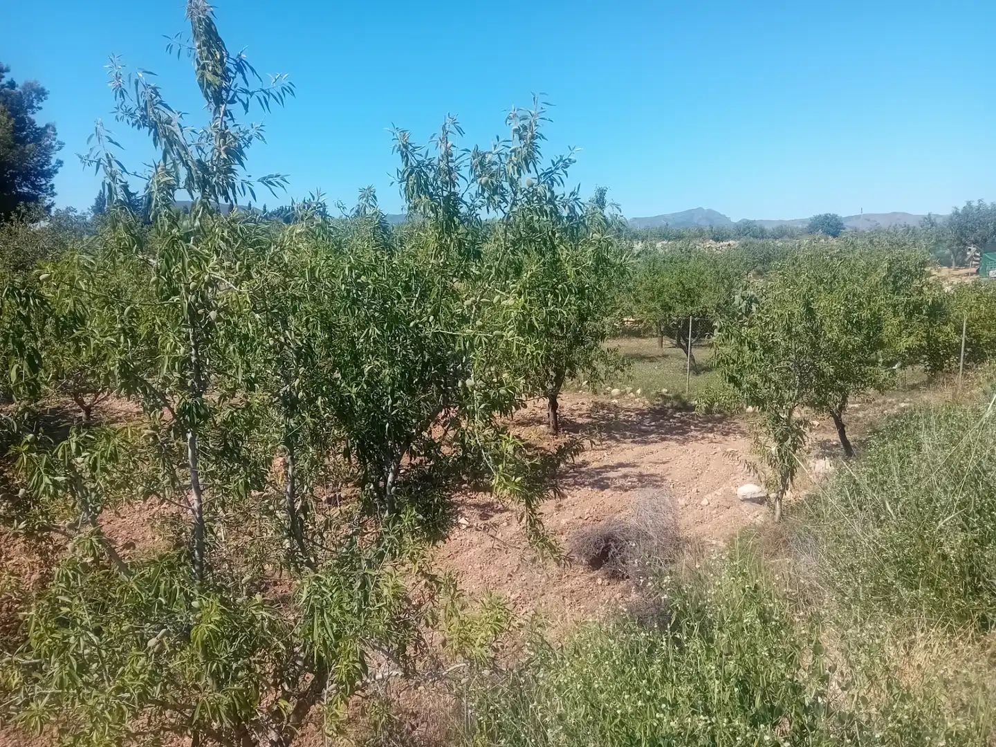 Terreno en venta en Cartagena