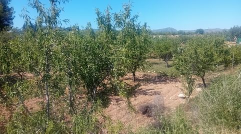 Foto 3 de Terreno en venta en Pasaje Los Segados, 13, Los Médicos, Cartagena