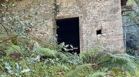 Foto 4 de Finca rústica en venta en Lugar Cividiello, 40a, Parres, Asturias