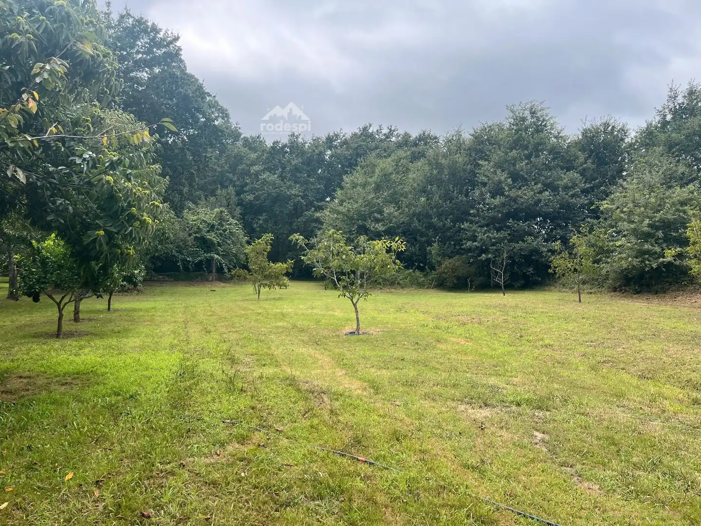 Rural land for sale in Covelo, imagen 25