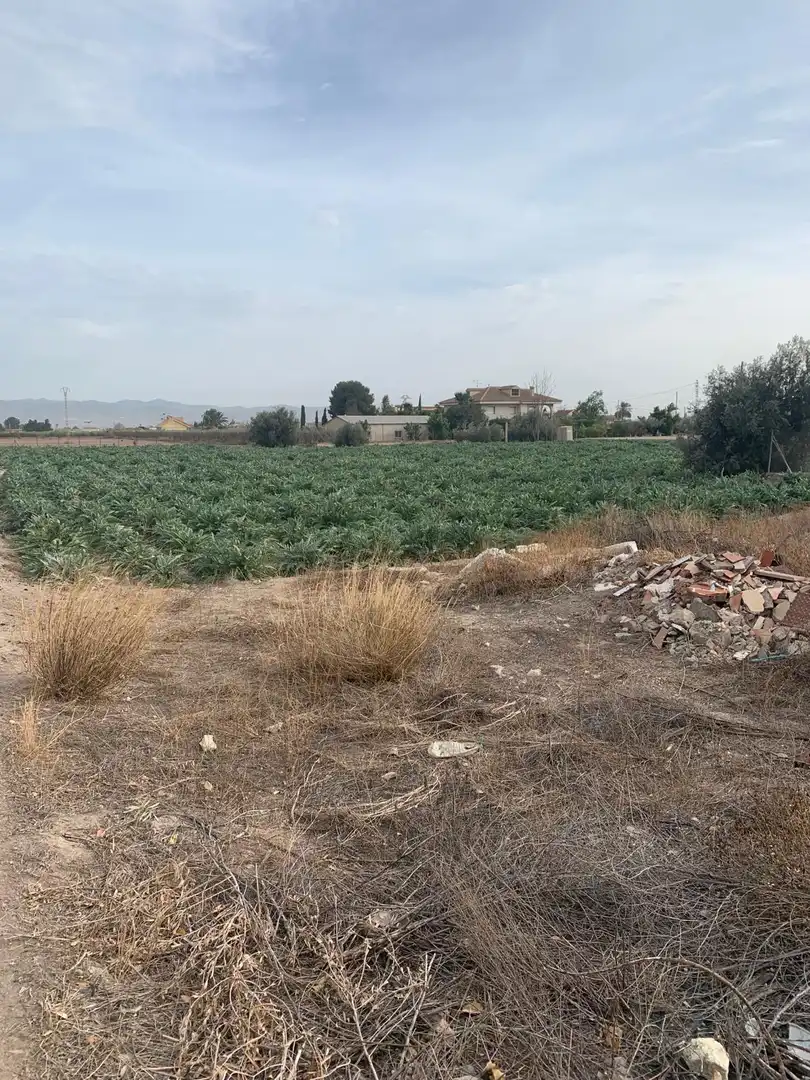Terrain résidentiel à vendre à Pedanías Centro, imagen 2