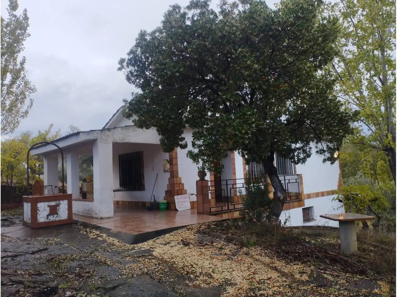 Terrenos y solares en venta en Badajoz, imagen 5