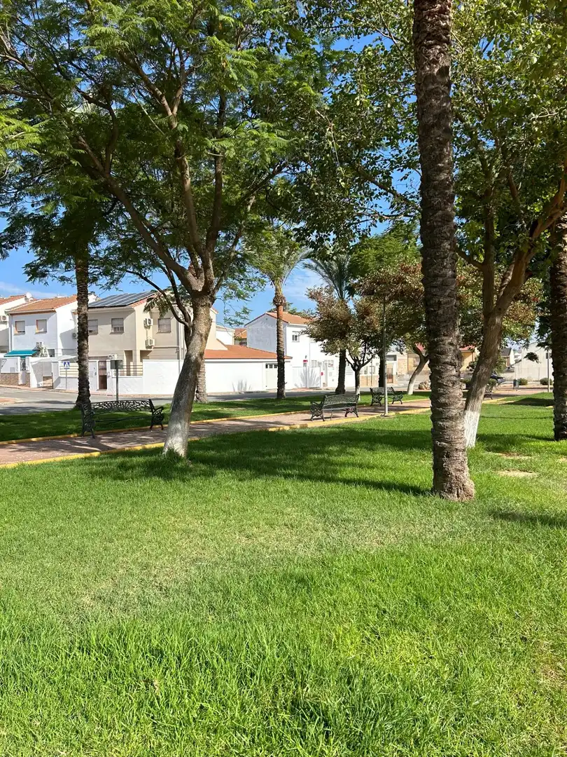 Lands and plots for sale in Mollina, imagen 3
