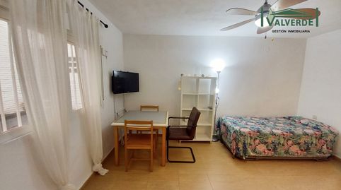 Photo 2 of Study for rent in Calle San Juan de Dios, Centro - Sagrario, Granada Capital