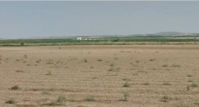 Terreno rustico in vendita a Alfamén, imagen 2