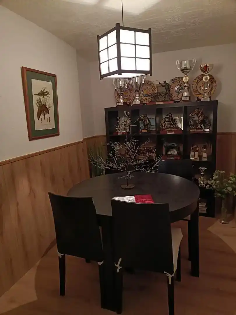 Menjador de Planta baixa en venda en Madrigal de las Altas Torres amb Parquet i Moblat