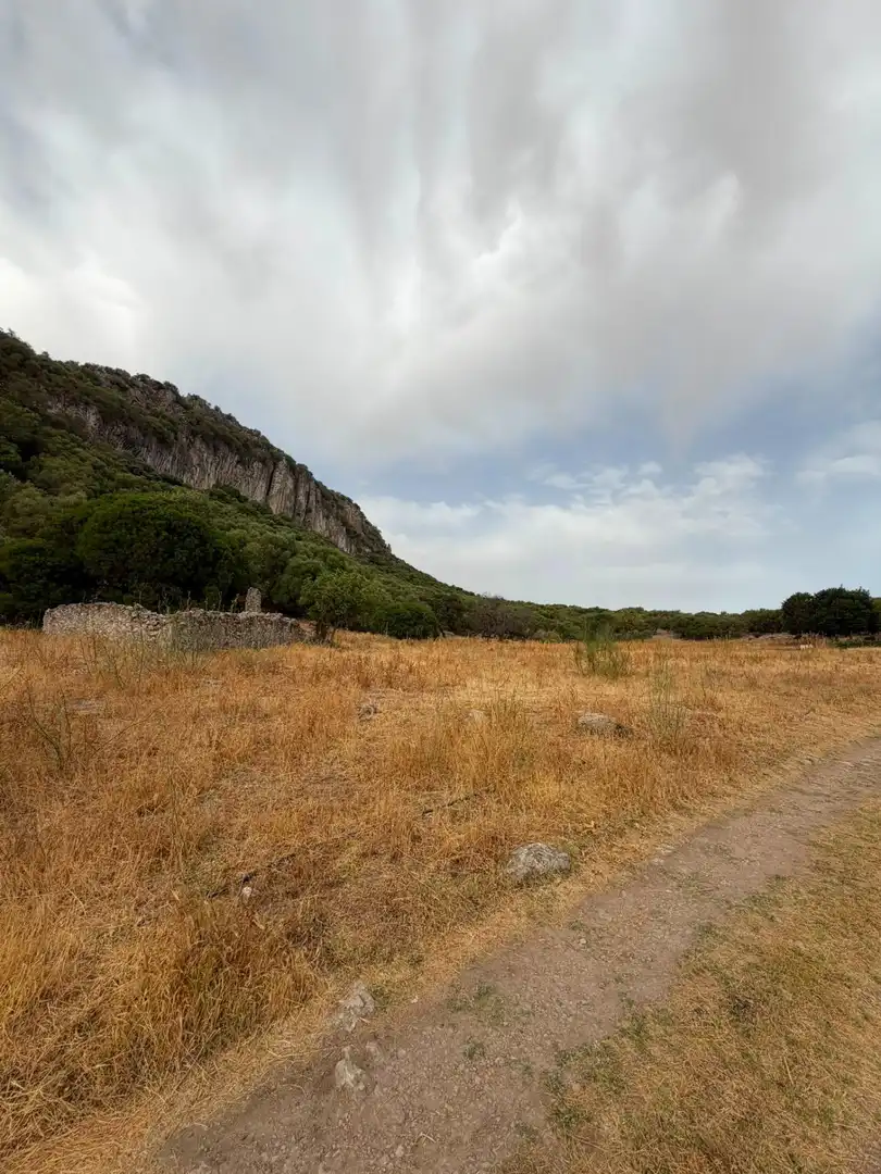 Rural land for sale in Morón de la Frontera, imagen 5