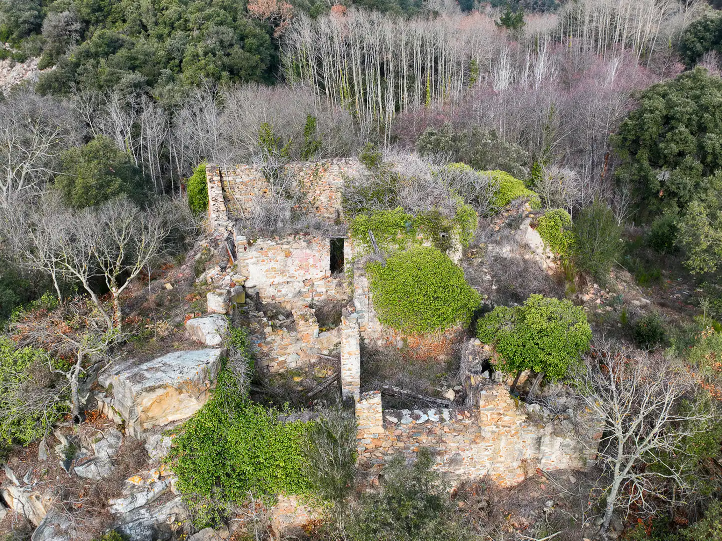 Casa rustica con giardino in vendita a N/A, imagen 7