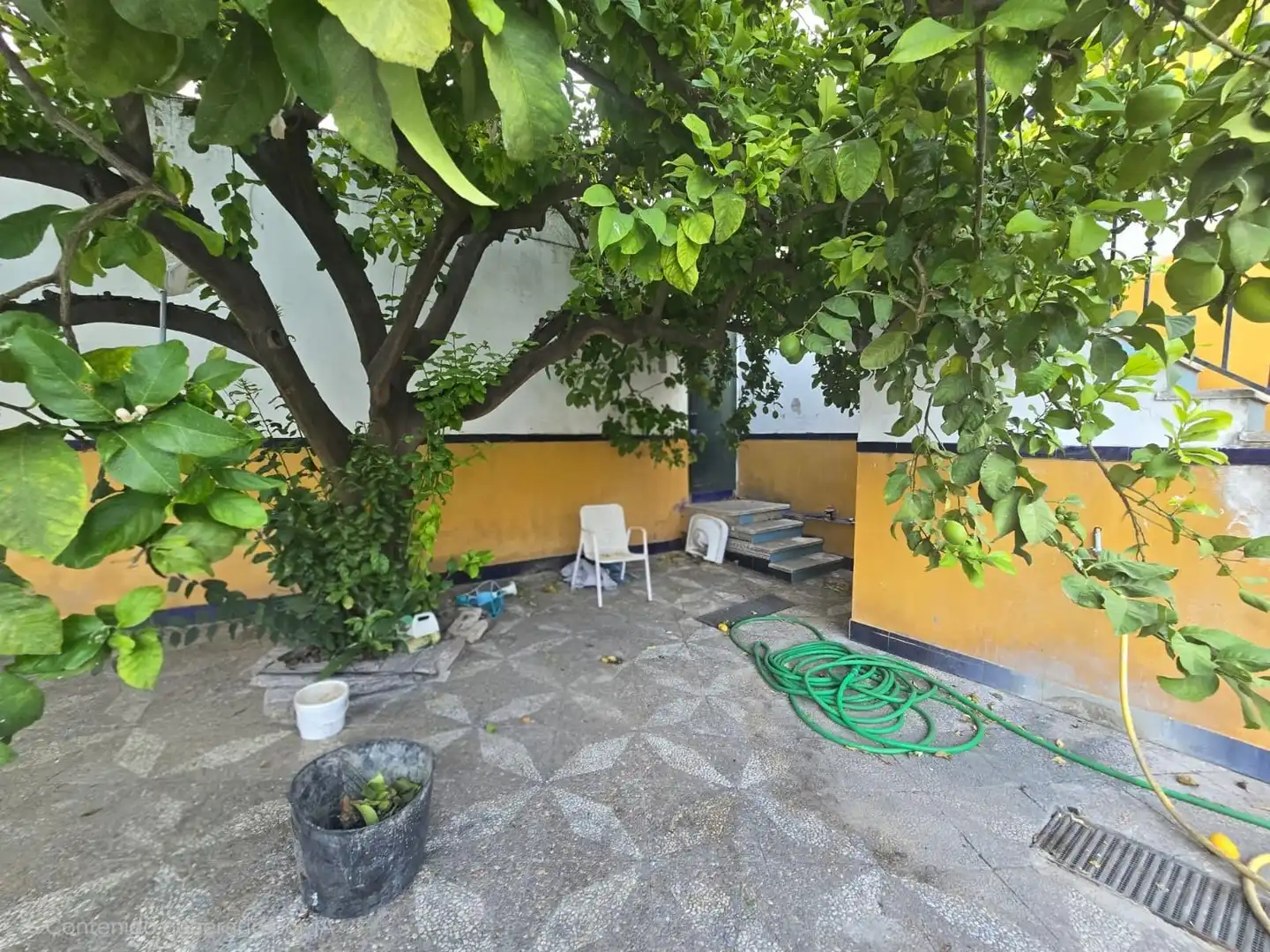 Garden of Houses for sale in Centro