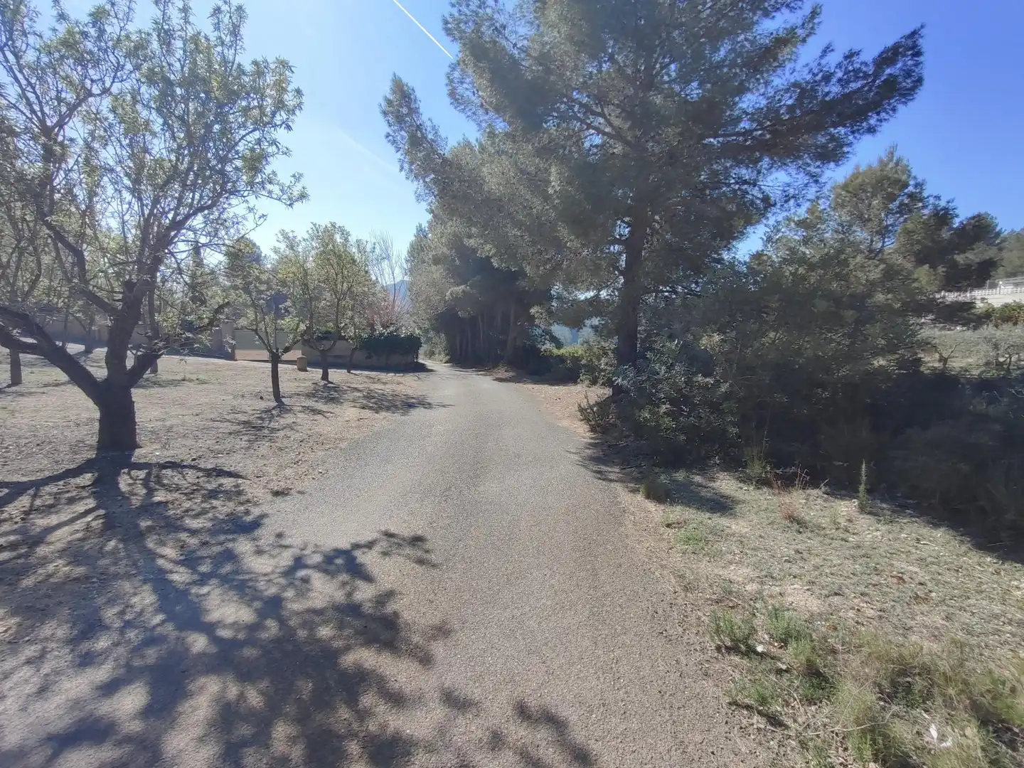 Terreno en venta en Alfara de la Baronia
