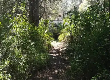 Residential land for sale in Vilallonga / Villalonga, imagen 5